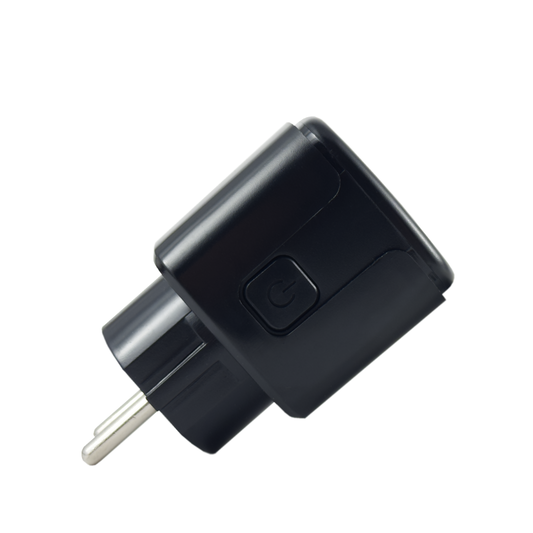 IŠMANUSIS KIŠTUKINIS LIZDAS PLUGGIO